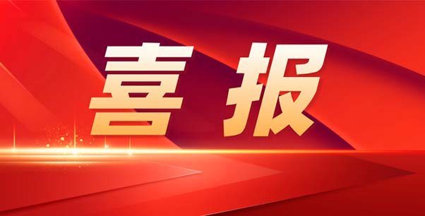 喜報(bào)！熱烈祝賀我司榮獲江蘇省“專精特新”企業(yè)稱號(hào)